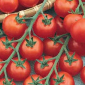 ����� "������� �������": ������� ����� ��� ����� � ����� �������