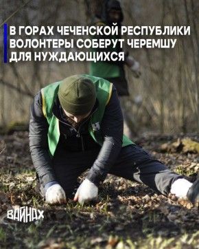 ����������������� ���� ������ ��������� ����� 30 ������ �������� ��� ����������������� ������ �� ����� ������� ��� ������� ����������� ������� ����������