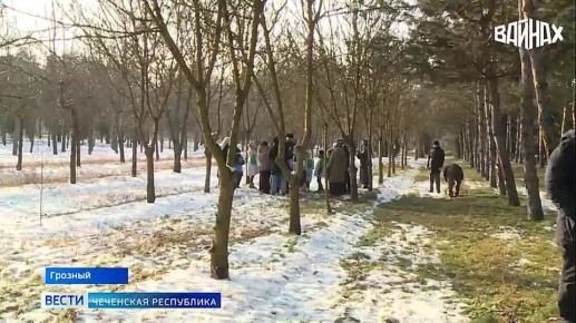 ������������ �������-�������������� ������ ������ � ����������� ������������ ����������� ������� � ���������������� ���� ����� �� ������ ��������