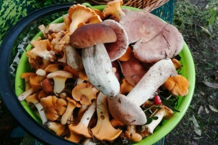 �� ����������� ��� ������ ��� ������������� ������, ����� �������� �� ���������