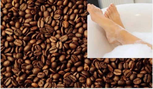 ����������� ������ �������� ����: ��� �������� ��������� � ������