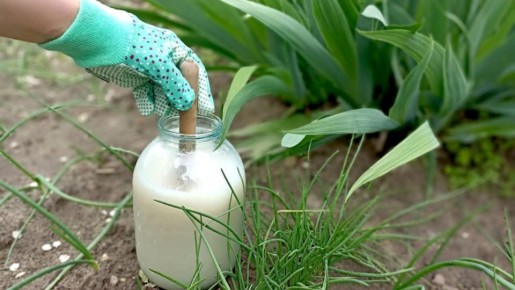 ������������� ����� ���������: ����� 25 ������ ��� �������� ������