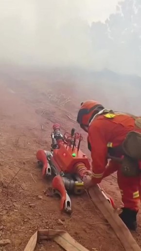 � ����� ���������� Unitree B2 �������������� ��� ������� �������