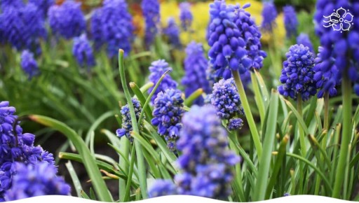 ������� � ����: ����� ��� ������� ���������� �����