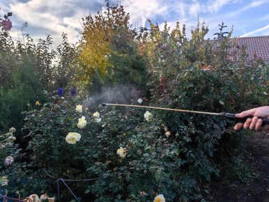 ������� ���� �� �����: ��� ����������� ������� � ���� � ���������� �������� ������