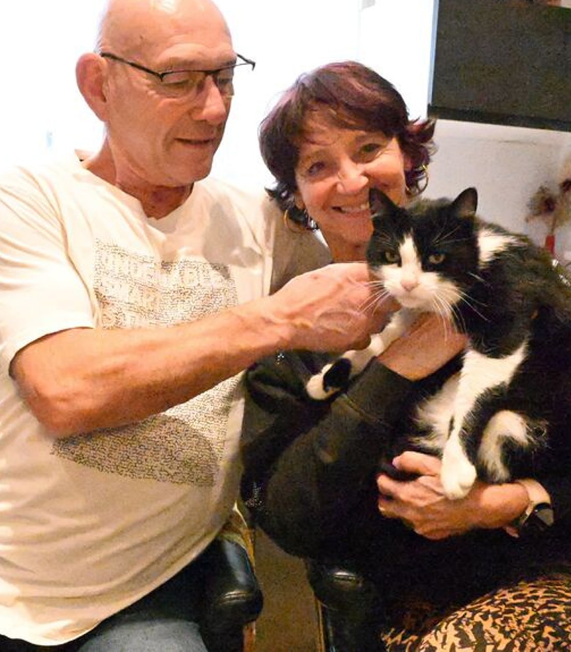 Домашний кот потерялся в Испании и сам вернулся во Францию — он искал дом 4 месяца и прошел 250 км в одиночку