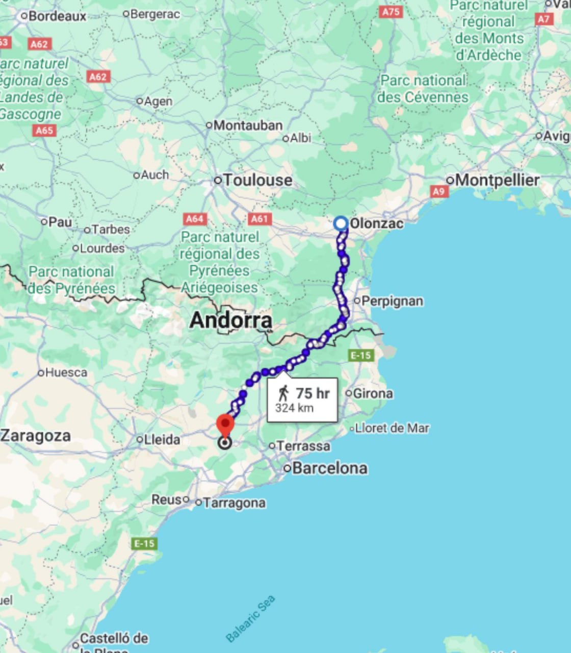 Домашний кот потерялся в Испании и сам вернулся во Францию — он искал дом 4 месяца и прошел 250 км в одиночку Домашний кот потерялся в Испании и сам вернулся во Францию — он искал дом 4 месяца и прошел 250 км в одиночку