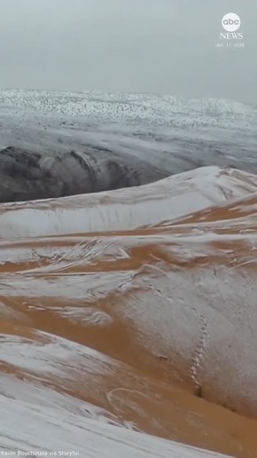 ������� ������ ������ ����