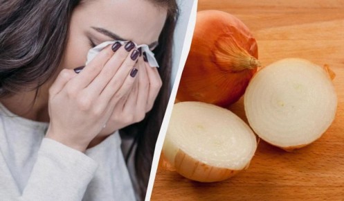 ������ ������� �� ����� ������� ����: ������� "�������" �������