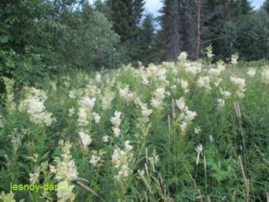 ������� �����������: ������������ �������� � ������� �������� � ���������� �������� �������