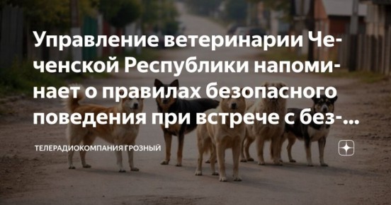 ����������� ���������� ����������� ������������� ��������� ���������� ��������� ������� ������� ��������� ������� ������� ����������� ��������� ��� ������� � �������� ��� ����������