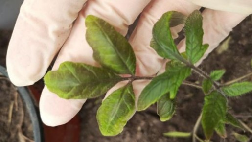 ������������ ������ ������� ��������� ������ ������� �������