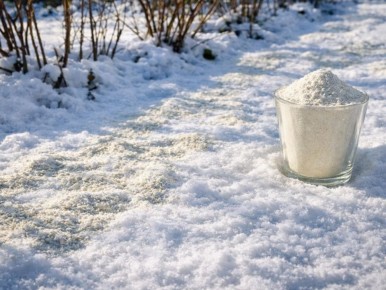 ������ ������ � �����: ��� ����������� ���� ������ ����� ����������� � �����������