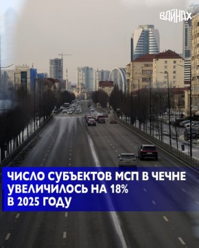 В 2025 году количество субъектов малого и среднего бизнеса в Чеченской Республике выросло на 18 процентов, число самозанятых на 22 процента