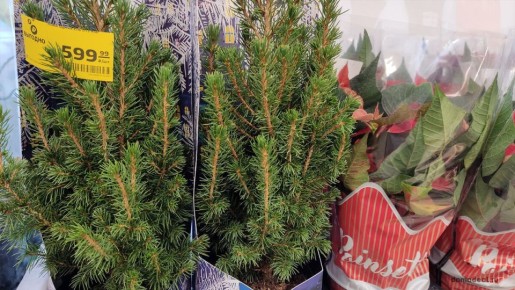 ������ ����� ����?������ �� ������ ����� �� ����� ��� � ����� �������� ��������