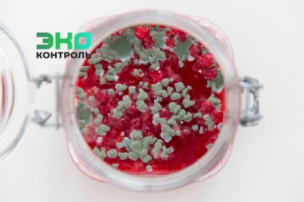 ������� �� �������: ������ ����� ��������� �����, ��� ������� �����