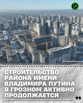 �� ���� �������� �����-������ ����� ��������