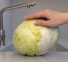 Нежная капуста за считанные минуты: простой рецепт на все случаи