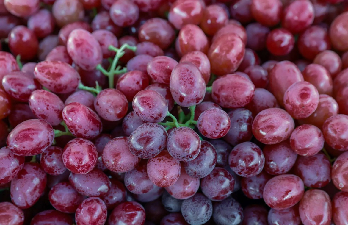 Красный виноград: польза или потенциальный вред?