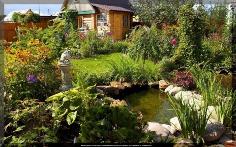 ������� ������ ��� � ����������� ������: ���-20 �������� ��������