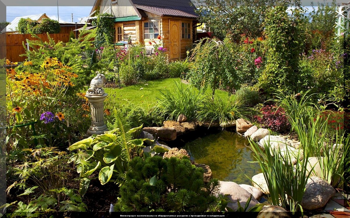 Создаем уютный сад с минимальным уходом: топ-20 цветущих растений