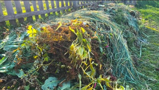 Как сделать компост быстрее: советы для дачников на весну