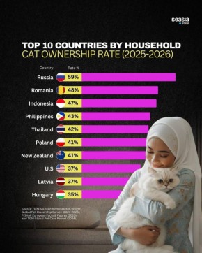 � ������� �������� ����� ���������� ����� ������ �������� � ������� �������