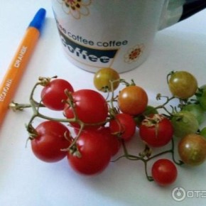 ����� �������: ��������� ����� ��� ����������� �������