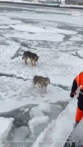 �� �������� ������ ������ � ������� ����