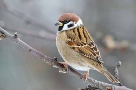 � ������ � 7 �� 15 ������� ������� ������������� �������� ��������