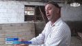 Глава администрации Шми-Юртовского сельского поселения Сайд-Магомед Багаев более 12 лет занимается развитием собственного хозяйства