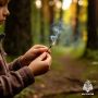 За пал сухой травы предусмотрен штраф