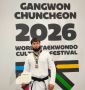 ��������� ��������� �������� ��������� ������ �������������� ������� �Gangwon Chuncheon 2026 World Taekwondo Open Challenge�
