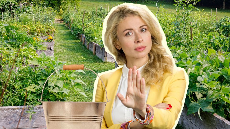 Не добавляйте эти средства в зеленое удобрение: погубите весь урожай