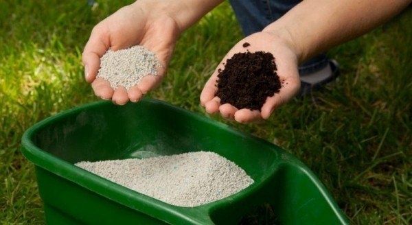 Как подкормить плодовые деревья весной для богатого урожая