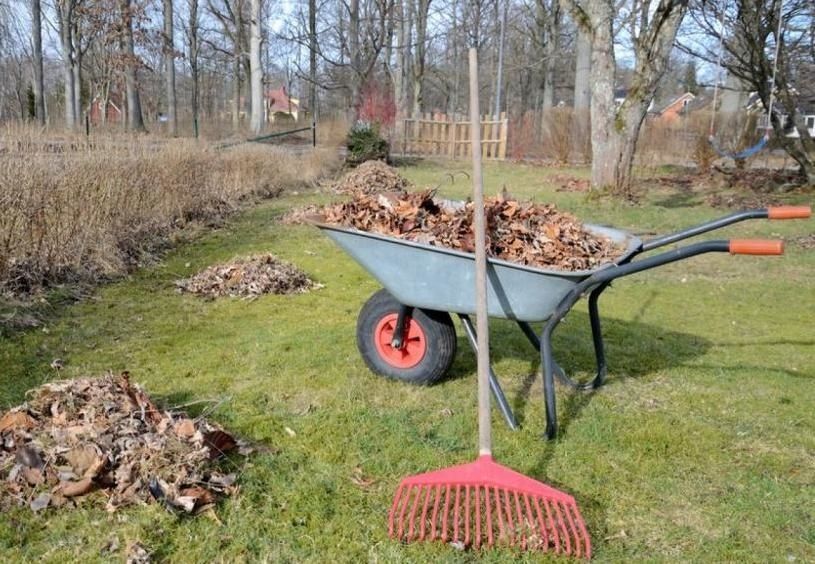 Как подготовить огород к зиме: основные шаги для успешного старта весной