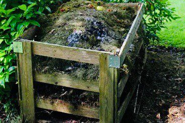 Как компостная яма превращает отходы в черное золото для вашего сада