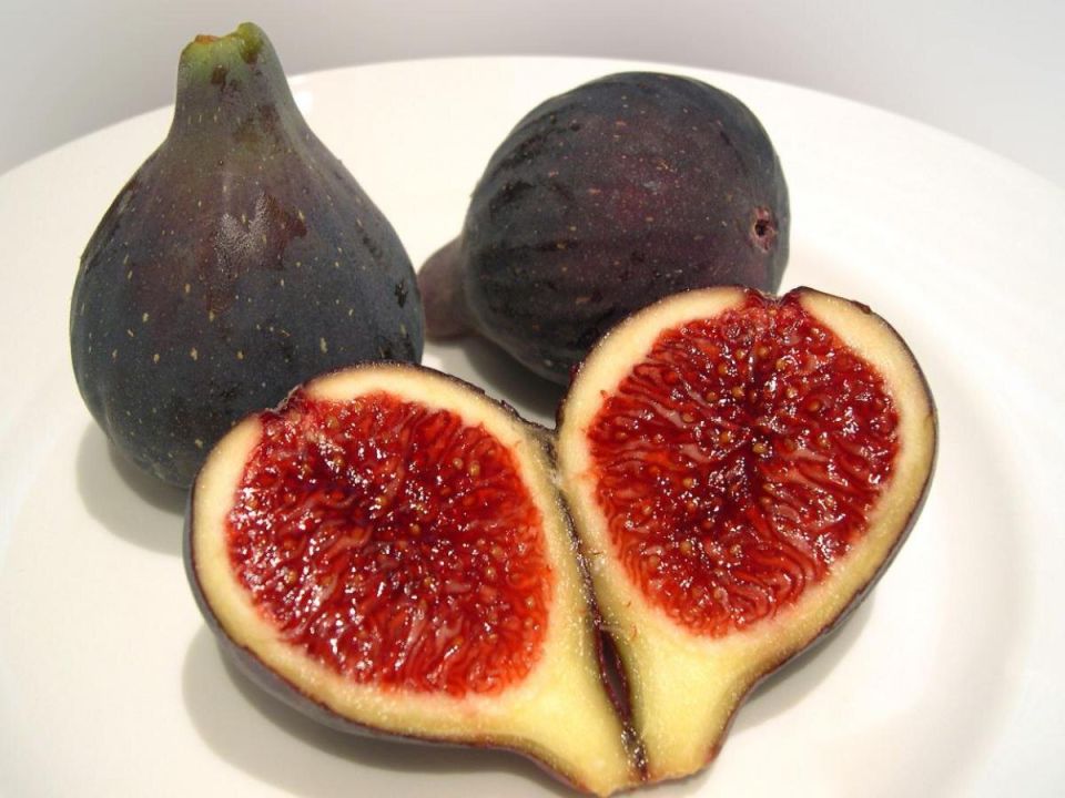 Лучшие фруктовые деревья для вашей квартиры