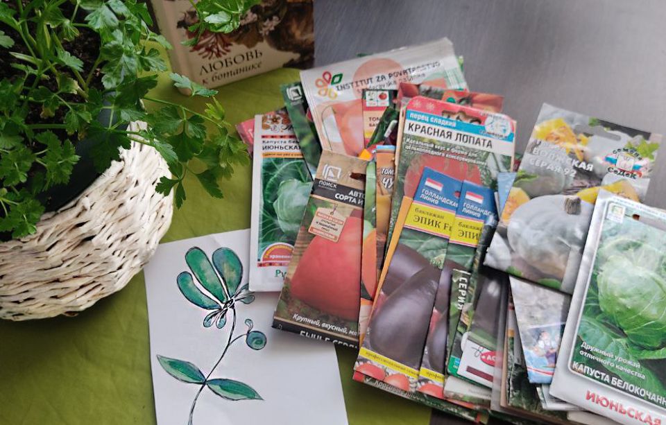 Как выбрать семена и не ошибиться в сроках годности