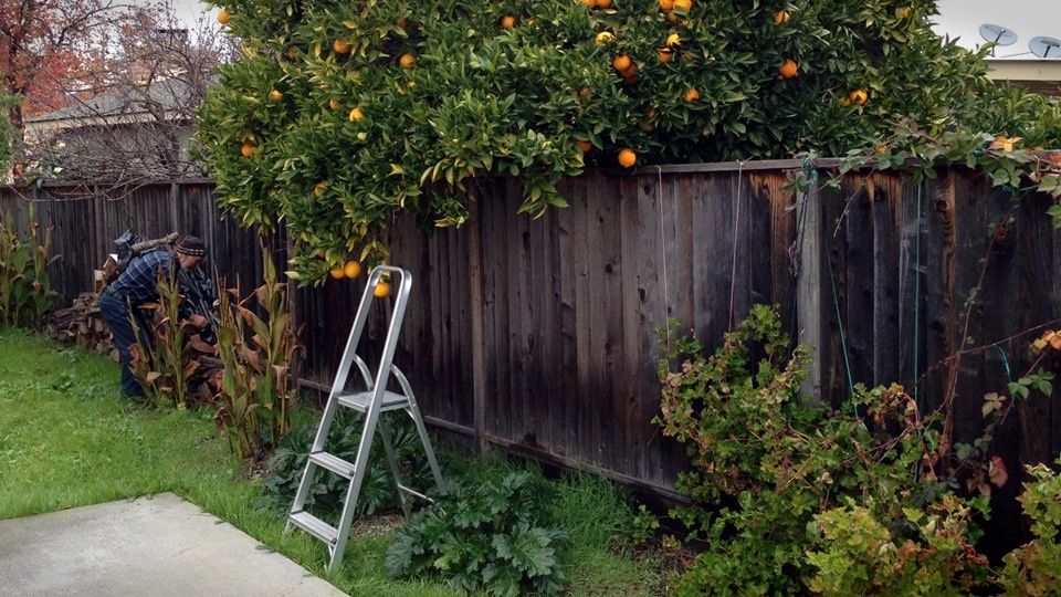 ��� �������� ���� �������� �� ������������� �������: ����������� �������