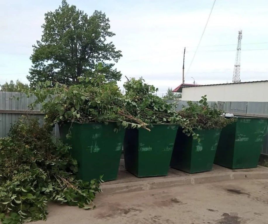 ������������ ������ ������ ������ ��������� �� ��������� ��������