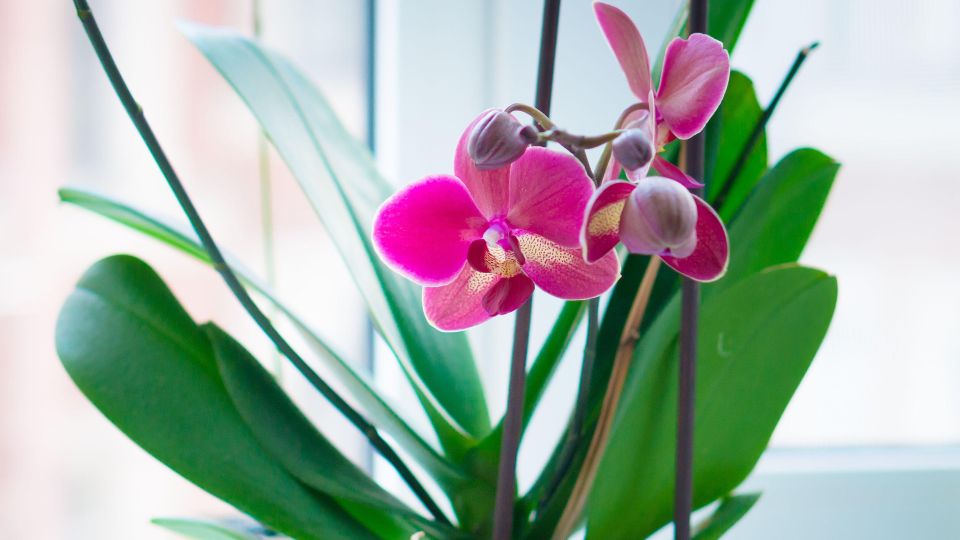 �� ������� ��������� ����� �����, ���� �� ���������� ���� �����: ���� �� ��������