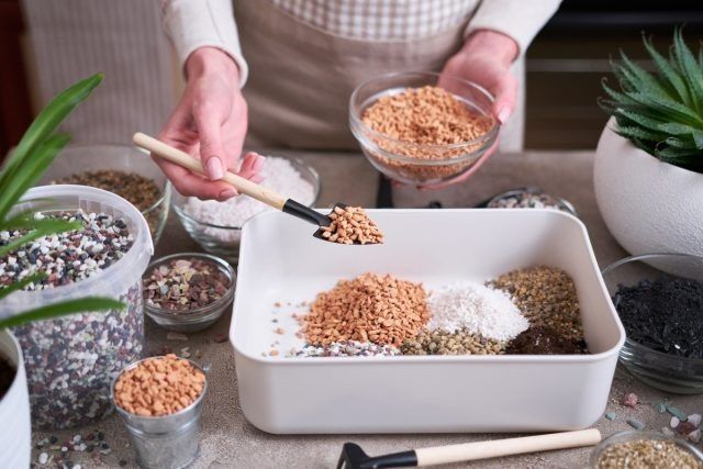 10 ������ �������� ��������� ����� ��� �������� ����� ��������� ��������