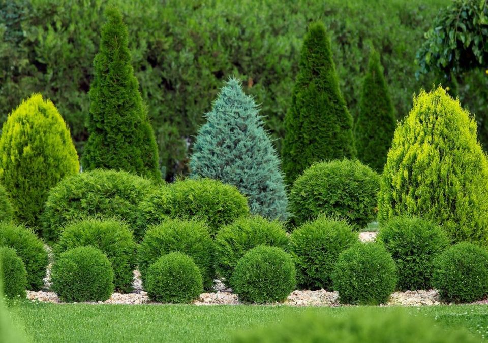 ���: 13 ������ ������, ������� ������� ��� ���