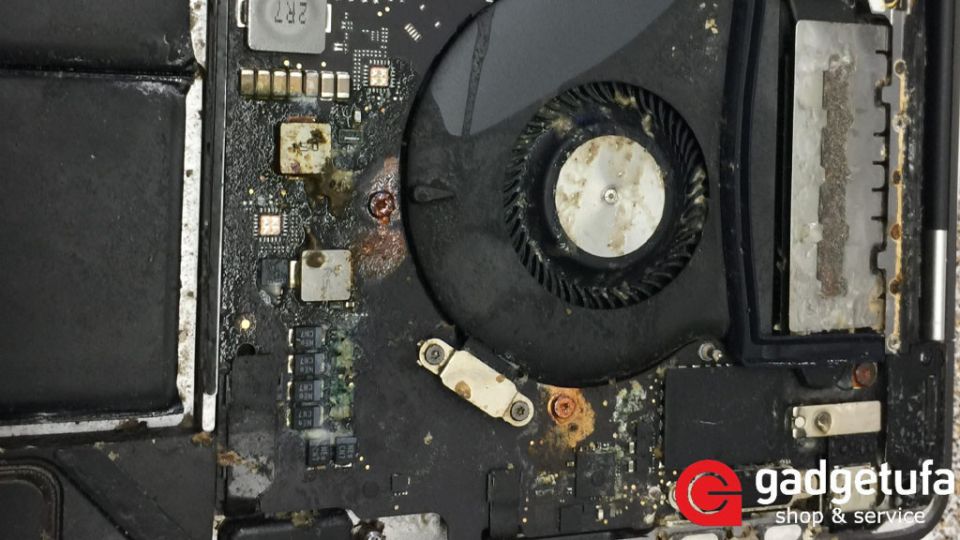 ��� ������, ���� ��� MacBook ��������� �� ����