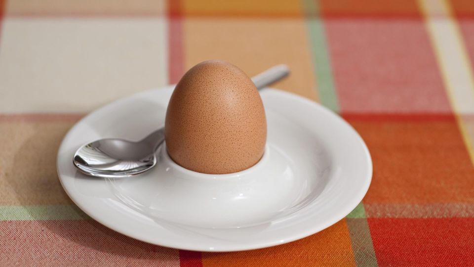 �������� � ��� ������ �������� ������: �� ����� ����� �������� � �������� ���� �������