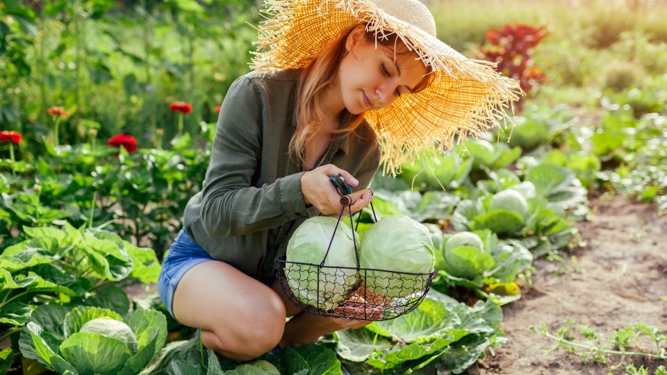 �� ��������� �������� ������� ���� ���������: ��� � ���� �������� ����� �����