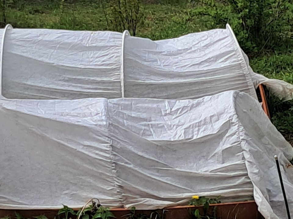 ��� ��������� ����� � ������: �������� ������ ��� ��������