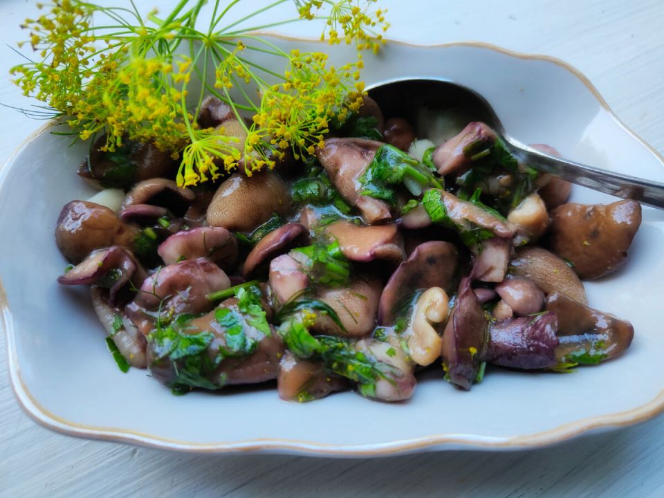 ��������������� ���� �������� ������������ ������