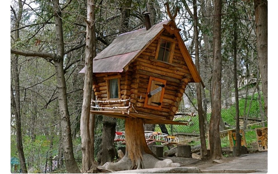 ��������� �������: ��� ���� ��� � ����� ����������� ����� ������� �����